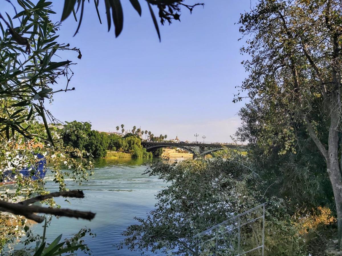 Triana Procurador Con Terraza Privada Leilighet Sevilla Eksteriør bilde
