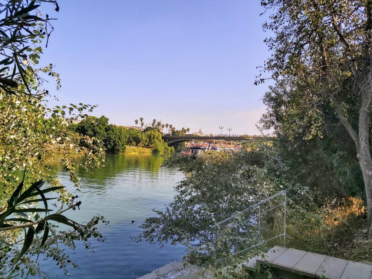Triana Procurador Con Terraza Privada Leilighet Sevilla Eksteriør bilde