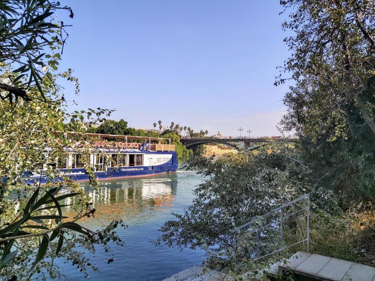 Triana Procurador Con Terraza Privada Leilighet Sevilla Eksteriør bilde